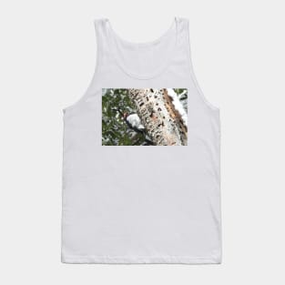 Acorn woodpecker, wild birds, wildlife gifts Tank Top